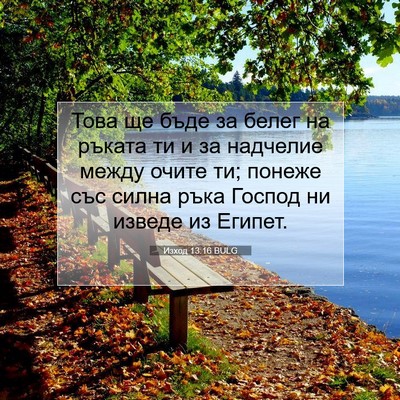 Picture 07 - Изход 13:16 BULG - Това ще бъде за белег на - Bible Verse Picture