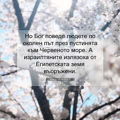 Picture 07 - Изход 13:18 BULG - Но Бог поведе людете по - Bible Verse Picture