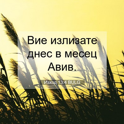 Picture 07 - Изход 13:4 BULG - Вие излизате днес в месец - Bible Verse Picture