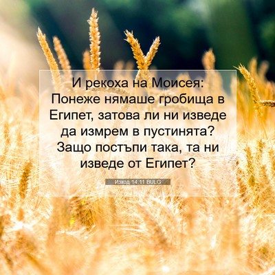 Picture 07 - Изход 14:11 BULG - И рекоха на Моисея: Понеже - Bible Verse Picture