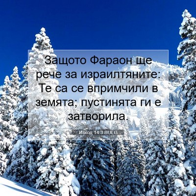 Picture 07 - Изход 14:3 BULG - Защото Фараон ще рече за - Bible Verse Picture