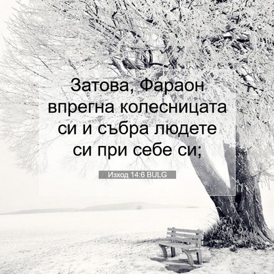 Picture 07 - Изход 14:6 BULG - Затова, Фараон впрегна - Bible Verse Picture