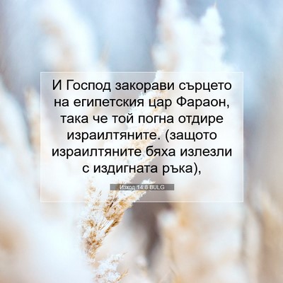 Picture 07 - Изход 14:8 BULG - И Господ закорави сърцето - Bible Verse Picture