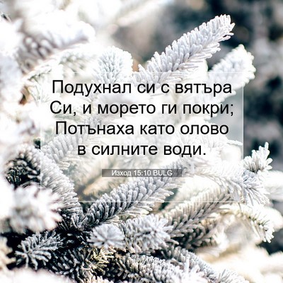 Picture 07 - Изход 15:10 BULG - Подухнал си с вятъра Си, и - Bible Verse Picture