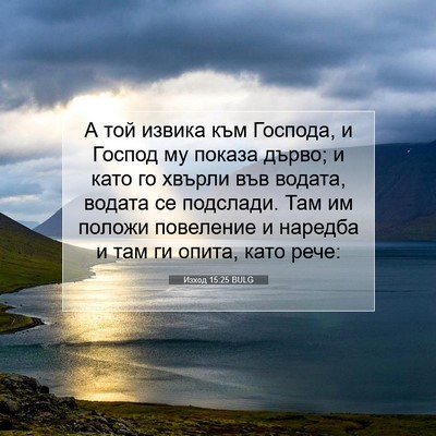 Picture 07 - Изход 15:25 BULG - А той извика към Господа, и - Bible Verse Picture