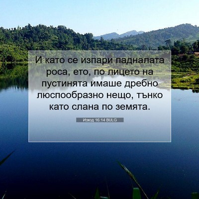 Picture 07 - Изход 16:14 BULG - И като се изпари падналата - Bible Verse Picture