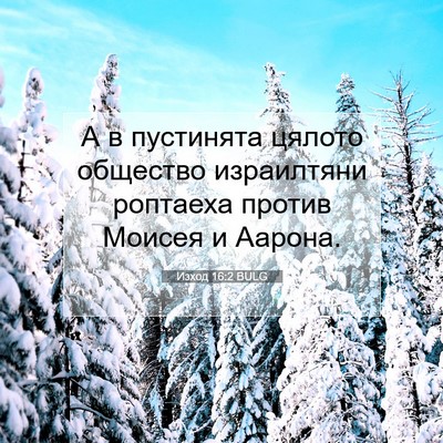 Picture 07 - Изход 16:2 BULG - А в пустинята цялото - Bible Verse Picture