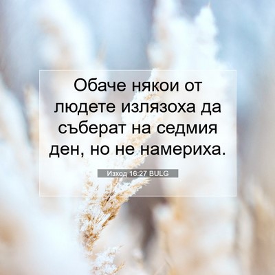 Picture 07 - Изход 16:27 BULG - Обаче някои от людете - Bible Verse Picture