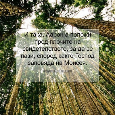 Picture 07 - Изход 16:34 BULG - И така, Аарон а положи пред - Bible Verse Picture