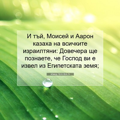 Picture 07 - Изход 16:6 BULG - И тъй, Моисей и Аарон - Bible Verse Picture