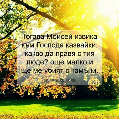 Picture 07 - Изход 17:4 BULG - Тогава Моисей извика към - Bible Verse Picture