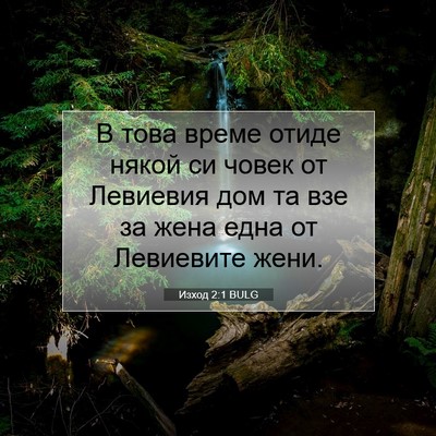 Picture 07 - Изход 2:1 BULG - В това време отиде някой си - Bible Verse Picture