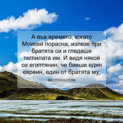 Picture 07 - Изход 2:11 BULG - А във времето, когато - Bible Verse Picture