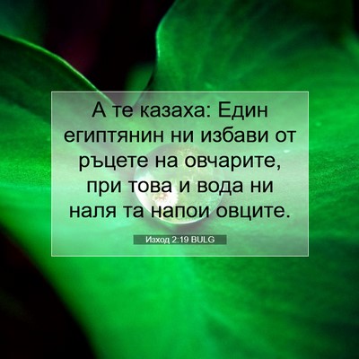 Picture 07 - Изход 2:19 BULG - А те казаха: Един египтянин - Bible Verse Picture