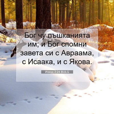 Picture 07 - Изход 2:24 BULG - Бог чу пъшканията им; и Бог - Bible Verse Picture