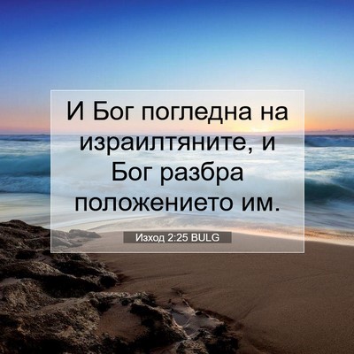 Picture 07 - Изход 2:25 BULG - И Бог погледна на - Bible Verse Picture