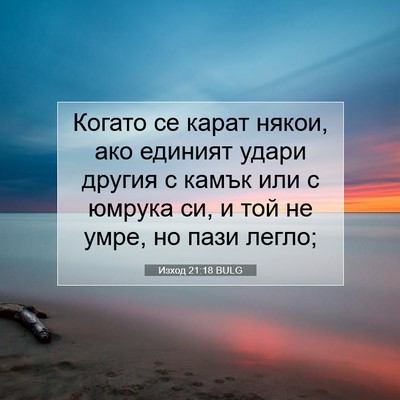 Picture 07 - Изход 21:18 BULG - Когато се карат някои, ако - Bible Verse Picture