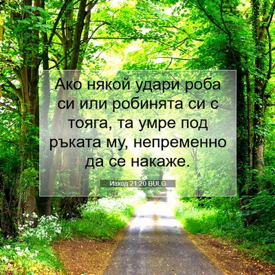 Picture 07 - Изход 21:20 BULG - Ако някой удари роба си или - Bible Verse Picture