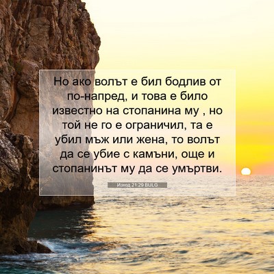 Picture 07 - Изход 21:29 BULG - Но ако волът е бил бодлив - Bible Verse Picture