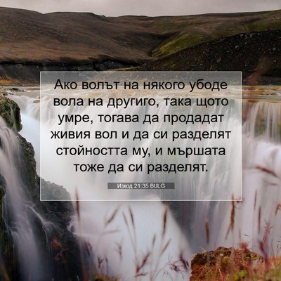 Picture 07 - Изход 21:35 BULG - Ако волът на някого убоде - Bible Verse Picture