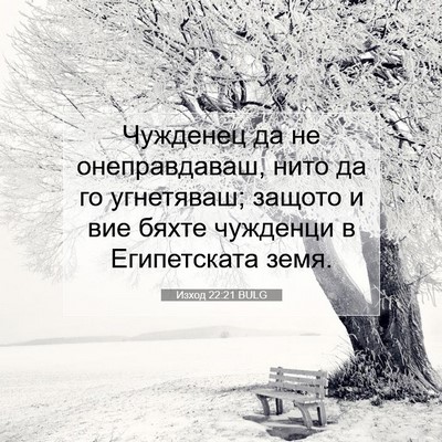 Picture 07 - Изход 22:21 BULG - Чужденец да не - Bible Verse Picture