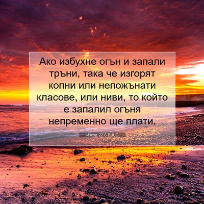 Picture 07 - Изход 22:6 BULG - Ако избухне огън и запали - Bible Verse Picture