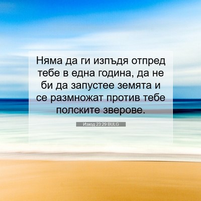 Picture 07 - Изход 23:29 BULG - Няма да ги изпъдя отпред - Bible Verse Picture