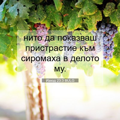 Picture 07 - Изход 23:3 BULG - нито да показваш - Bible Verse Picture