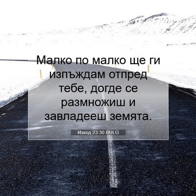 Picture 07 - Изход 23:30 BULG - Малко по малко ще ги - Bible Verse Picture