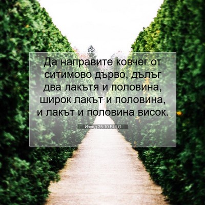 Picture 07 - Изход 25:10 BULG - Да направите ковчег от - Bible Verse Picture