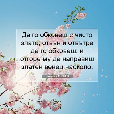 Picture 07 - Изход 25:11 BULG - Да го обковеш с чисто - Bible Verse Picture