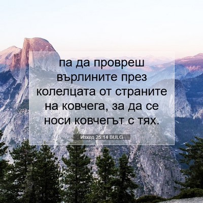 Picture 07 - Изход 25:14 BULG - па да провреш върлините - Bible Verse Picture