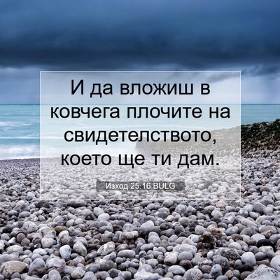 Picture 07 - Изход 25:16 BULG - И да вложиш в ковчега - Bible Verse Picture