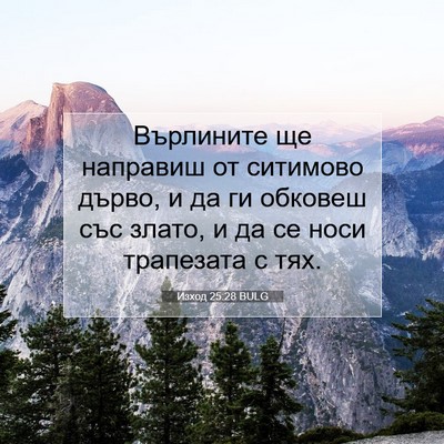Picture 07 - Изход 25:28 BULG - Върлините ще направиш от - Bible Verse Picture