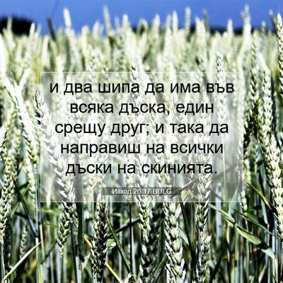 Picture 07 - Изход 26:17 BULG - и два шипа да има във всяка - Bible Verse Picture
