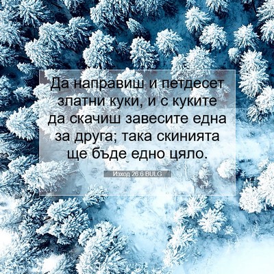 Picture 07 - Изход 26:6 BULG - Да направиш и петдесет - Bible Verse Picture