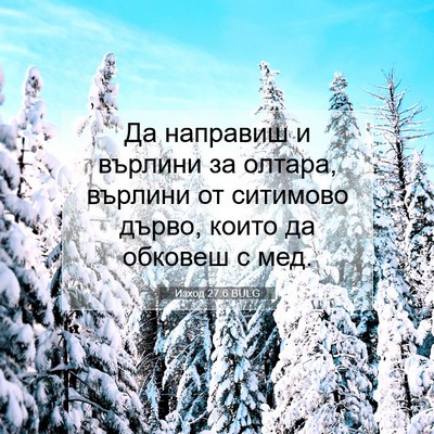 Picture 07 - Изход 27:6 BULG - Да направиш и върлини за - Bible Verse Picture