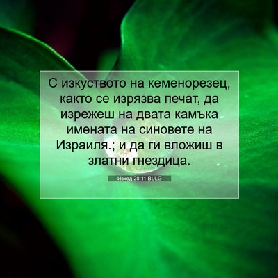 Picture 07 - Изход 28:11 BULG - С изкуството на - Bible Verse Picture