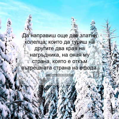 Picture 07 - Изход 28:26 BULG - Да направиш още две златни - Bible Verse Picture