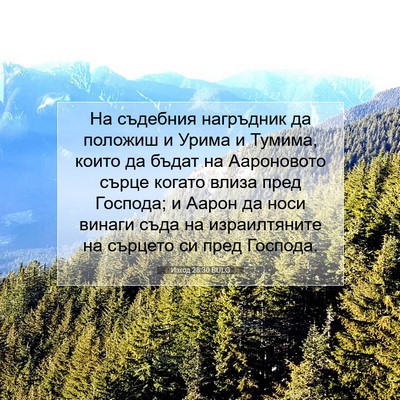 Picture 07 - Изход 28:30 BULG - На съдебния нагръдник да - Bible Verse Picture