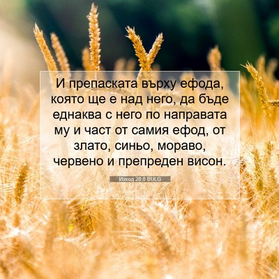 Picture 07 - Изход 28:8 BULG - И препаската върху ефода, - Bible Verse Picture