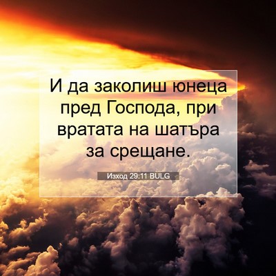 Picture 07 - Изход 29:11 BULG - И да заколиш юнеца пред - Bible Verse Picture