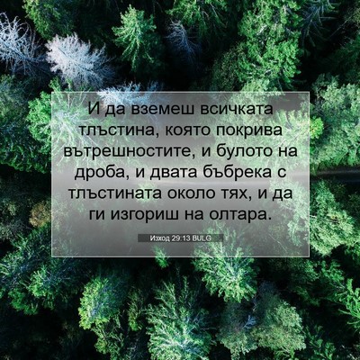 Picture 07 - Изход 29:13 BULG - И да вземеш всичката - Bible Verse Picture