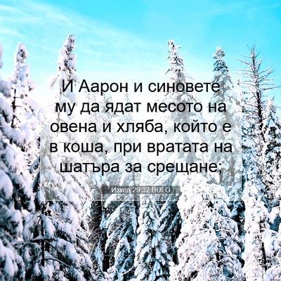 Picture 07 - Изход 29:32 BULG - И Аарон и синовете му да - Bible Verse Picture