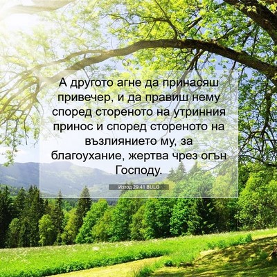 Picture 07 - Изход 29:41 BULG - А другото агне да принасяш - Bible Verse Picture