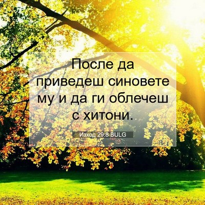 Picture 07 - Изход 29:8 BULG - После да приведеш синовете - Bible Verse Picture