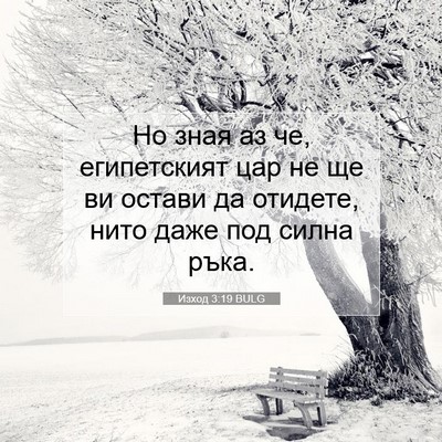 Picture 07 - Изход 3:19 BULG - Но зная аз че, египетският - Bible Verse Picture