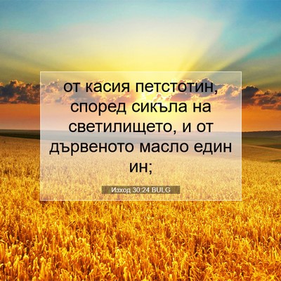 Picture 07 - Изход 30:24 BULG - от касия петстотин, според - Bible Verse Picture