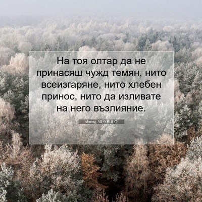 Picture 07 - Изход 30:9 BULG - На тоя олтар да не принасяш - Bible Verse Picture