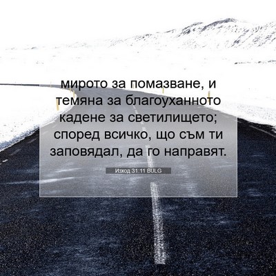 Picture 07 - Изход 31:11 BULG - мирото за помазване, и - Bible Verse Picture